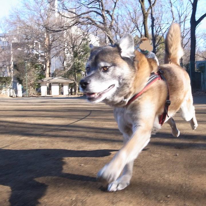 3062f539 c376 4d3a 80df 0eac522338b5 1597969175791