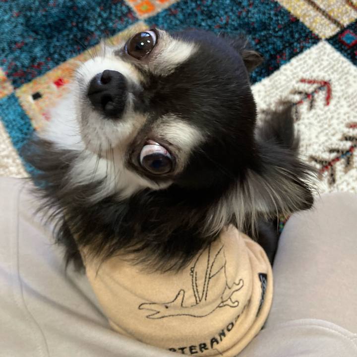 3063197e f5ad 49c9 8842 1461007b2038 1680349494469