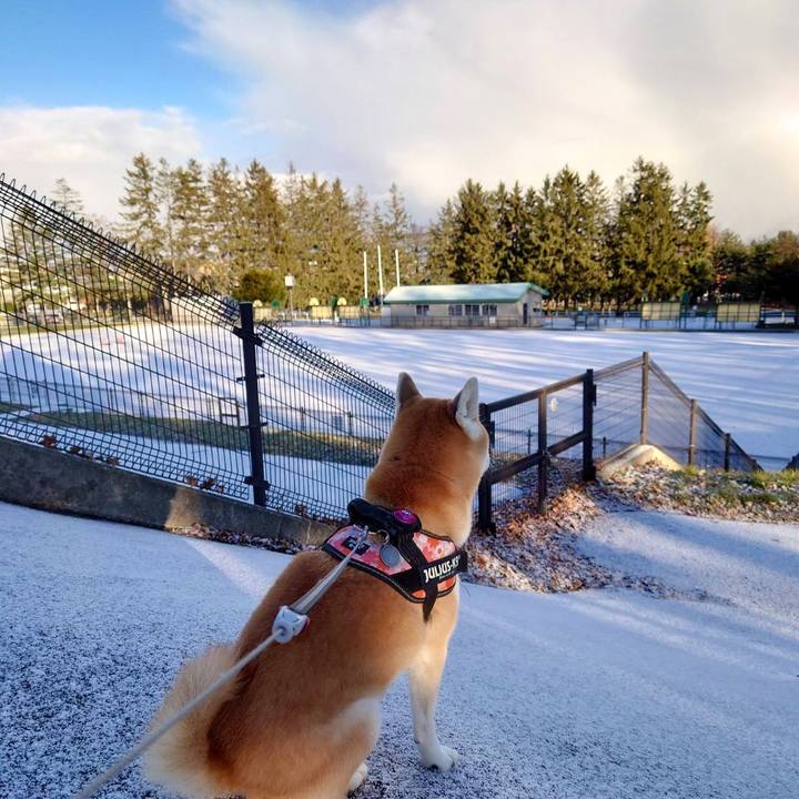 30632b5b 1050 4592 b1c1 c6c66859f41a 1637905833658