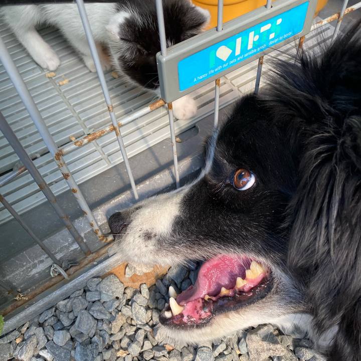 30632eff 34f2 40cf 8fff 7dac711ba94c 1652834573234