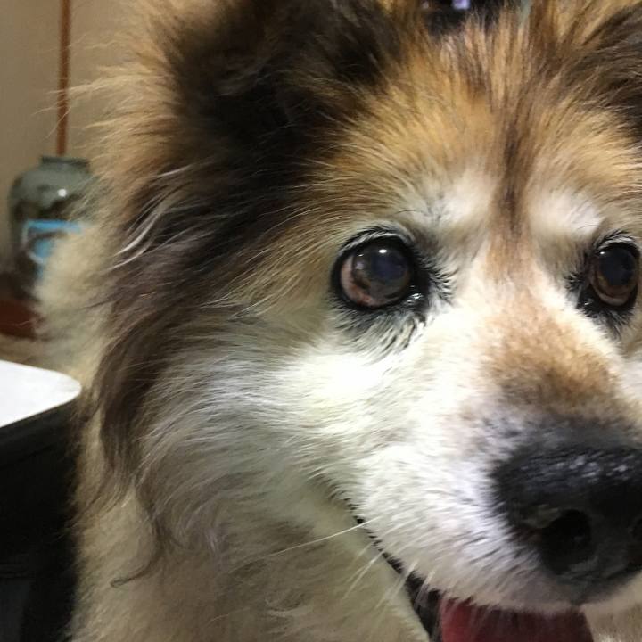 30633f41 d56d 4954 b419 b5e7e64bf606 1592735826405