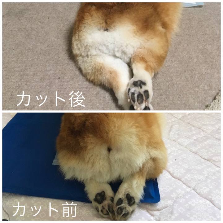 30634953 e5ac 4a4b 8a5c 94d5c6e586de 1570276601633