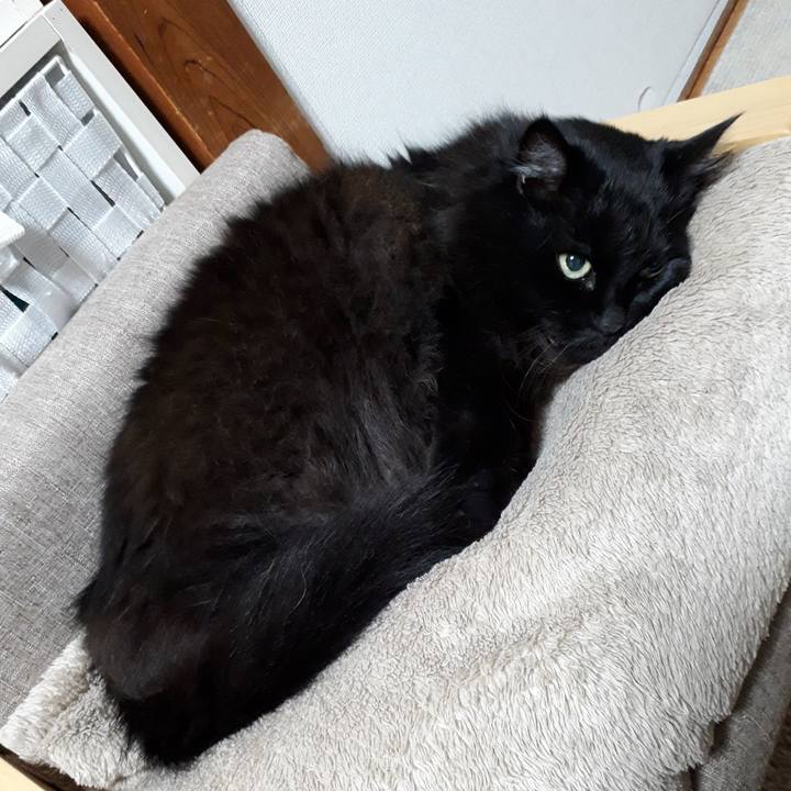 30634b63 ec14 46bc abed 42cc39c4ec9b 1520504903602