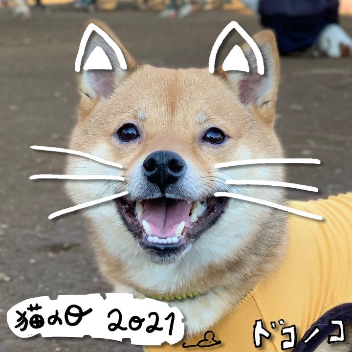 3063512b ee04 4279 a6c7 4cf94746b026 1613966571136