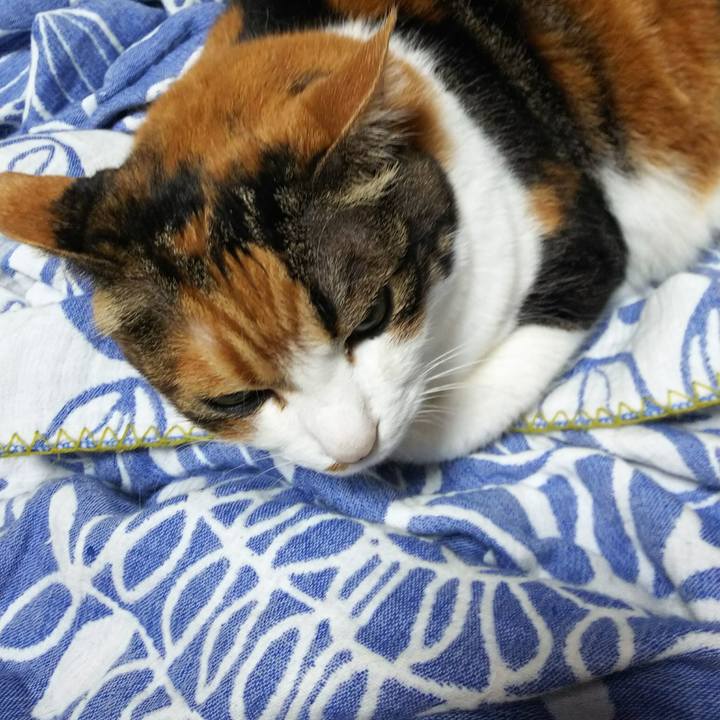 306351a1 06f9 4123 b3b4 6c1b40fe35c0 1530973232282