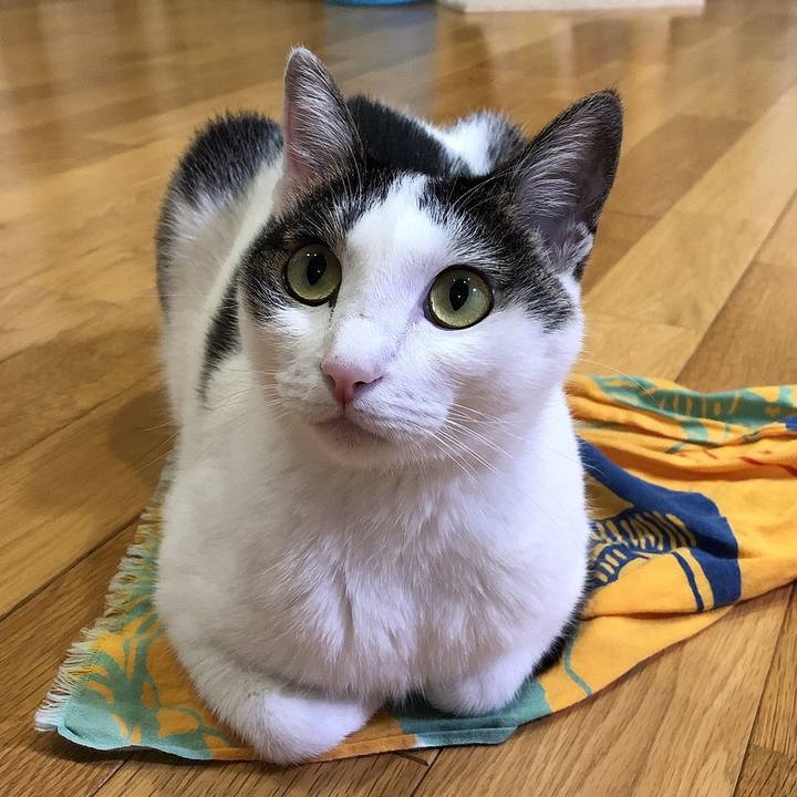 30635522 bb51 48a8 9169 2b1205ce6679 1659702468181