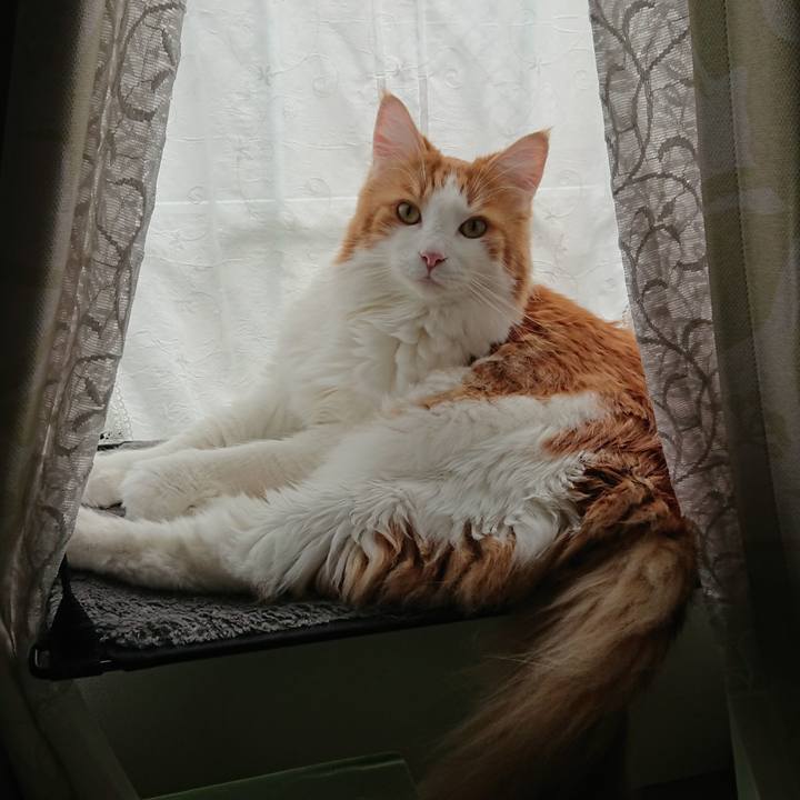 306375ec 6e47 4d9c 9692 1df6106d0482 1571538952862