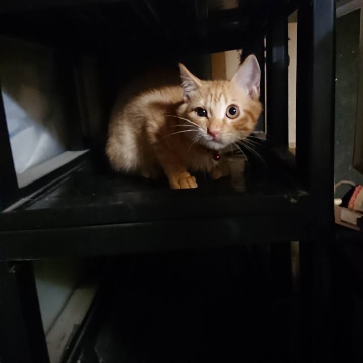 306377a9 c127 412f 96d5 fa98fff9f3ad 1632743470787