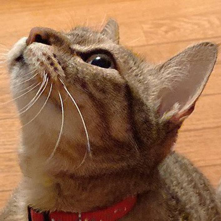 30639135 2591 42d0 8bd6 af84b2582e50 1591403991338