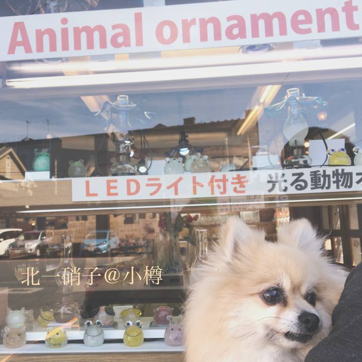 3063c01f 9526 4c9a 8225 cd0d296c32a9 1526122905887