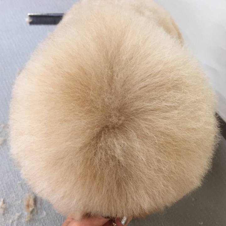 3063c15d e7c8 481f b98f cce42883468c 1536368489586