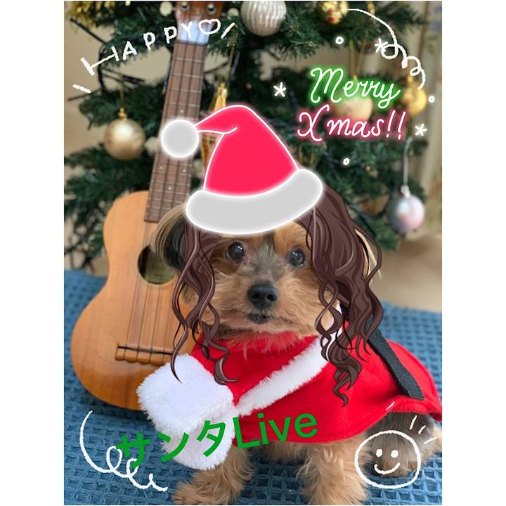 3063f959 7b3c 4559 ba99 a9f50fbe4ce2 1608335045345