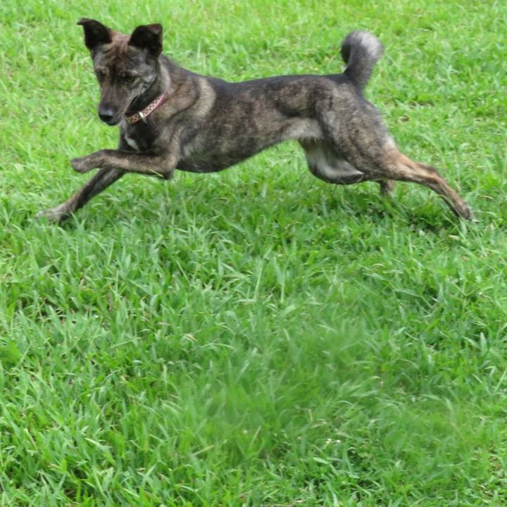 30640d44 394a 4a7a 82b5 c1f7b86c3c92 1560351089910