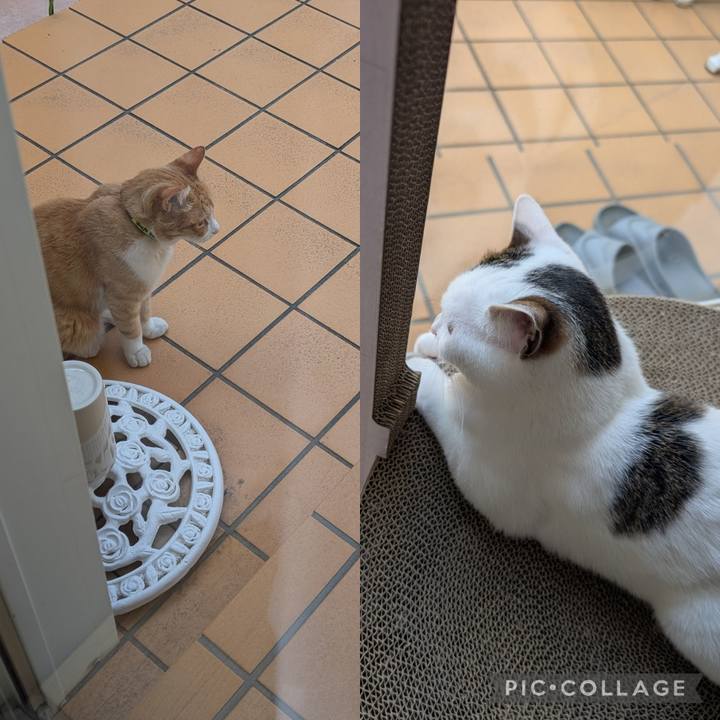 3064b0b2 d7f9 47be a4d0 6e37271b4a81 1752027669989