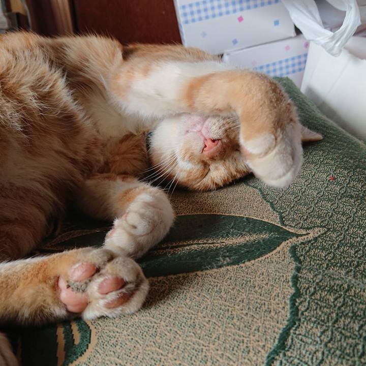 30651887 80e7 4b58 b126 3dca8c4ccef0 1567305264751