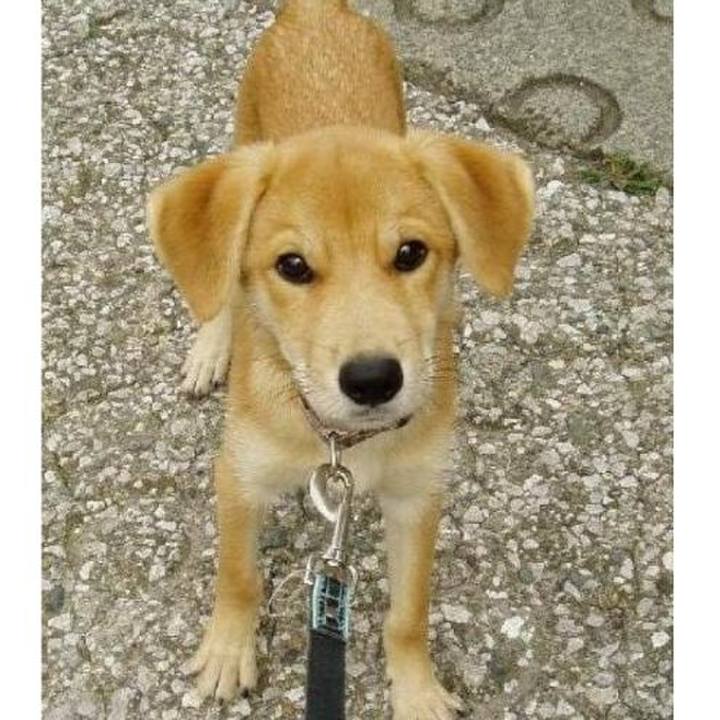 306525d4 d746 48f3 8267 587b3b016a05 1568710225078