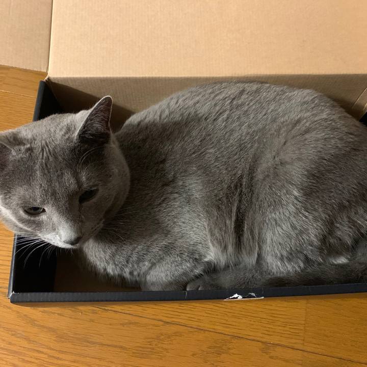 3065325c ccef 46db a0d4 0b010f5e4ff8 1586085294304