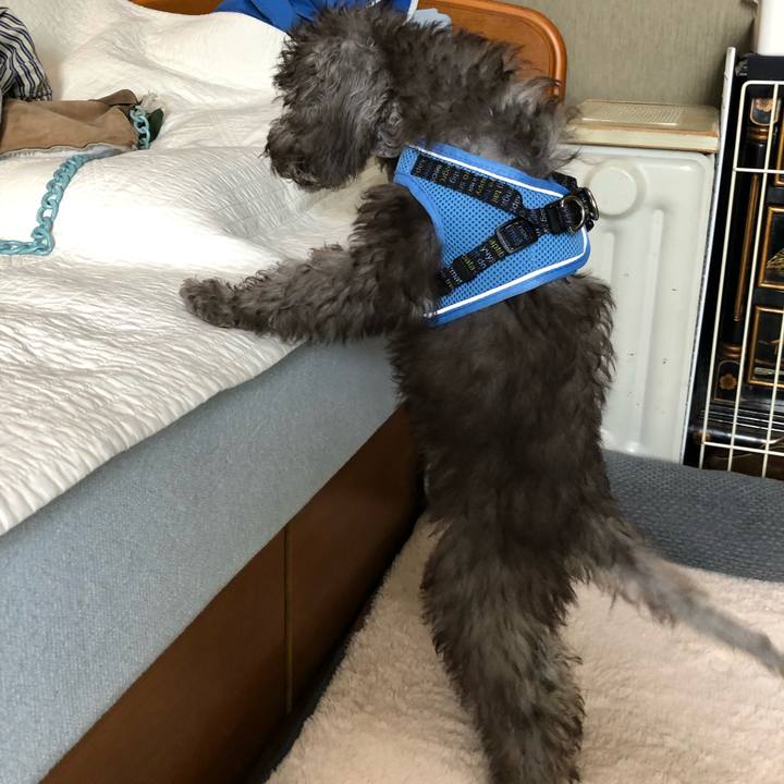 306535de 2a5e 475c 9de3 c5d55b35b2f5 1571552738346