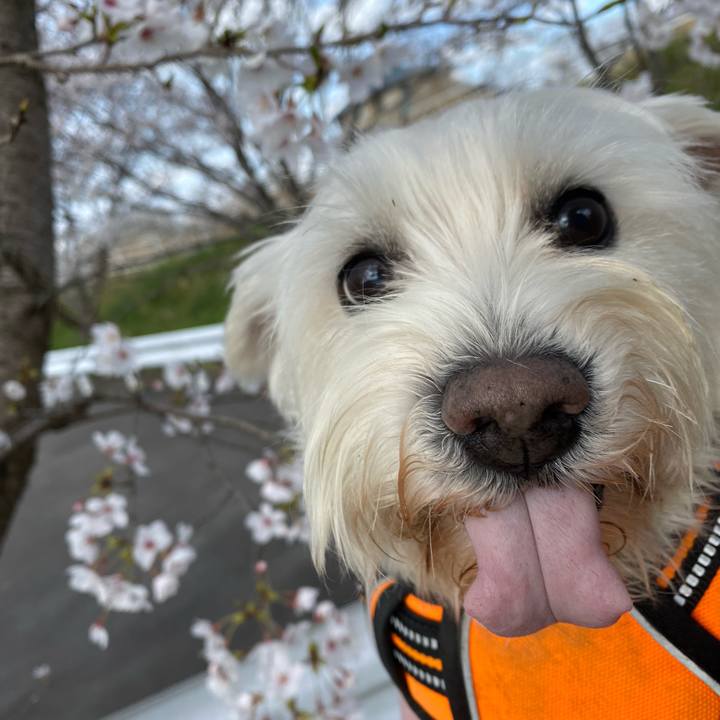 306543fe 4578 4164 b818 928c8c5341e5 1766281471806