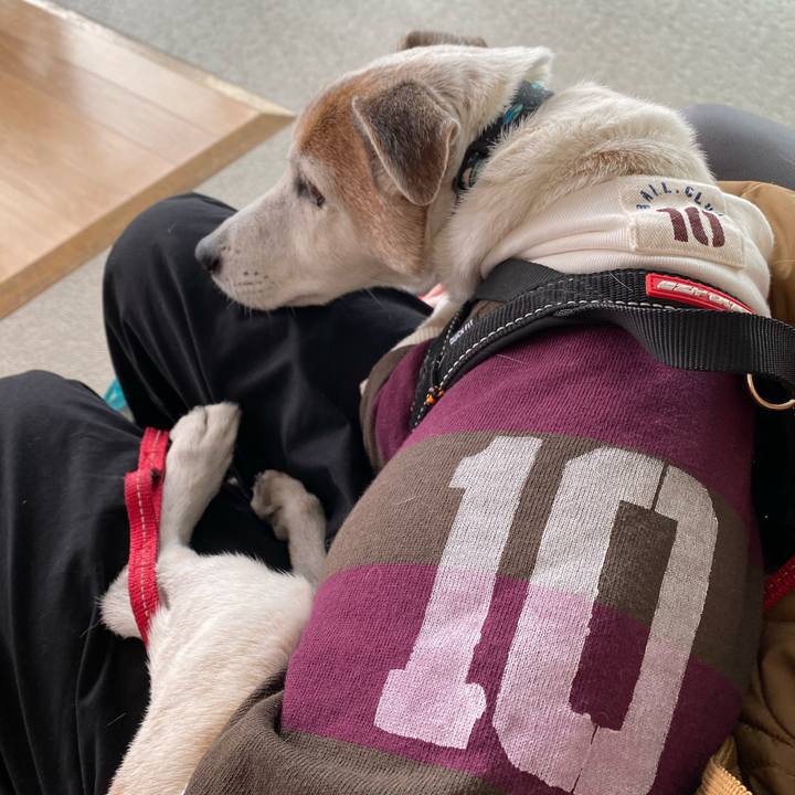 30654852 887a 4833 82ad 9cd4957efb72 1608360243921