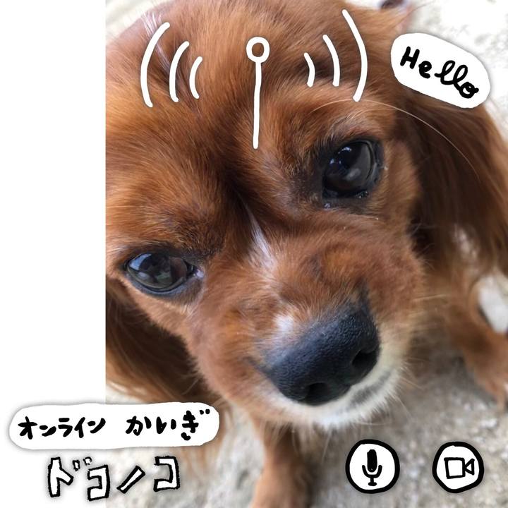 30655bc4 7b00 4e86 9511 6cb60541488d 1593949584633