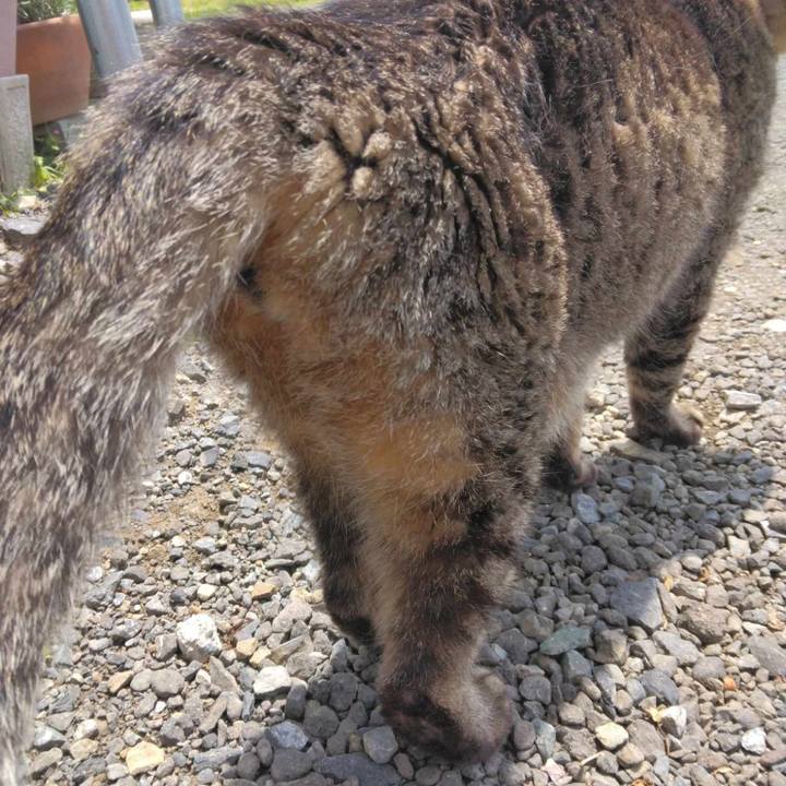 30659212 afb6 4353 9c17 dbf1223190b7 1717734300604