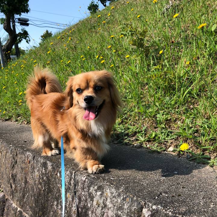 30664055 3b59 4698 b881 262ef58e102e 1527986264258