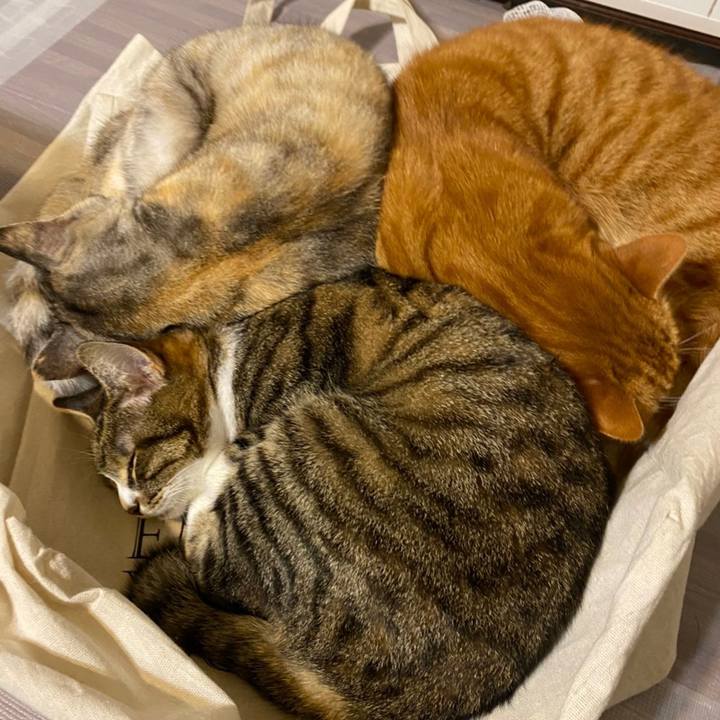 30665968 df51 4d78 a1e8 ad8431e07f09 1616777545526