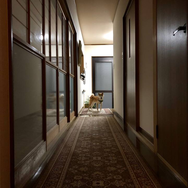 3066772c 01f4 43f7 a688 6b58337de6b3 1533033132002