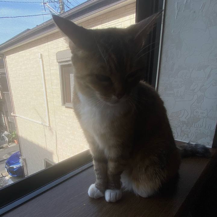 30669a71 3705 4976 bb3d db90fffed9cf 1657328237275