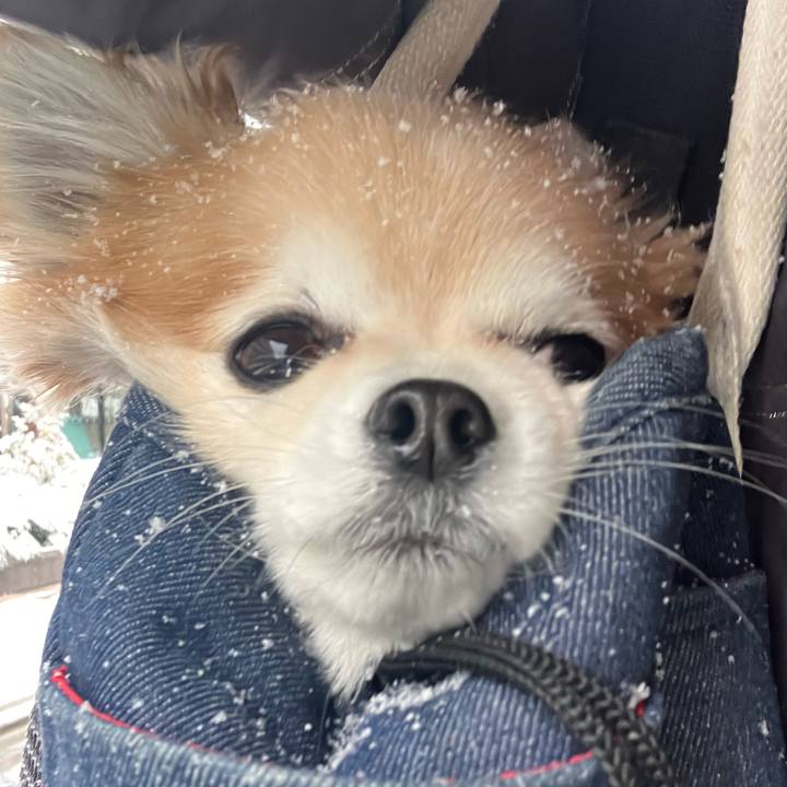 3066aa45 cf38 4470 ad90 1225cd6ce32e 1770510353446