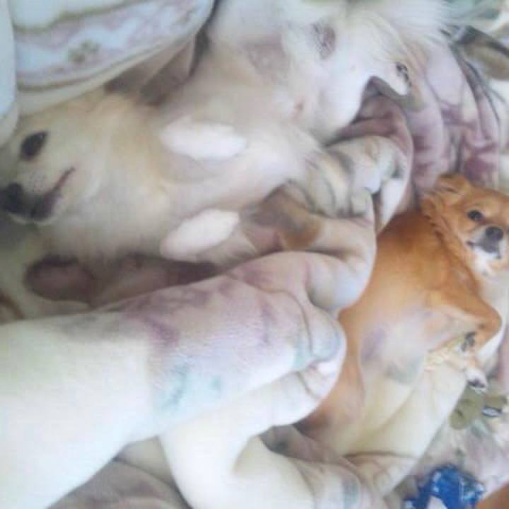 3066be47 fbb4 4ba9 b5f5 0e4d469e517c 1510362600664