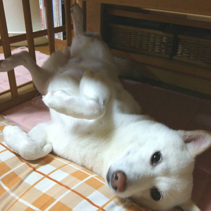 3066efd9 e354 4ad4 b4a7 b40d83633585 1558789286688