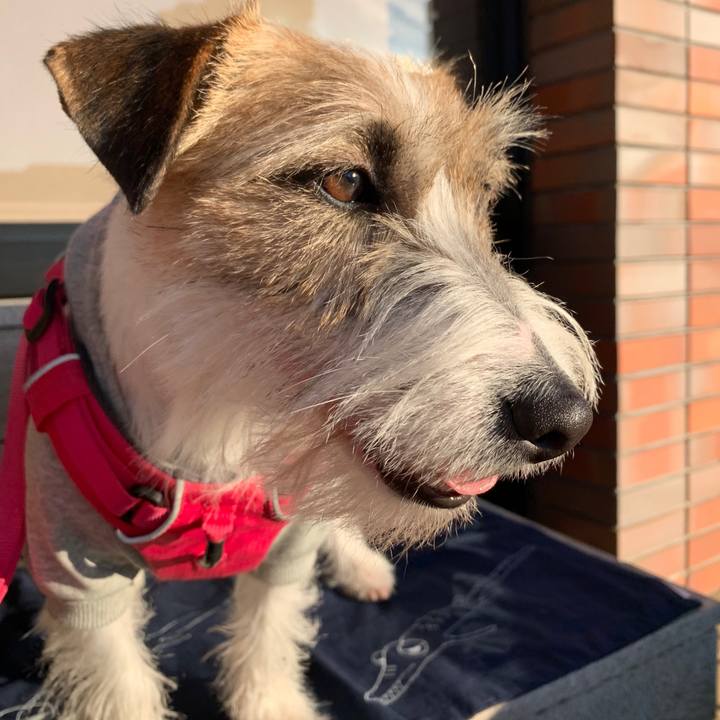 3066f962 9261 4beb 9e51 e625c748dee3 1580635298942