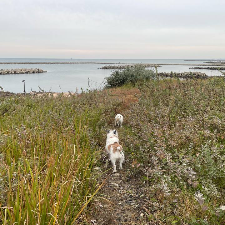 306733d9 5a39 4eaa aeaf bb0e76f635ba 1761865503264