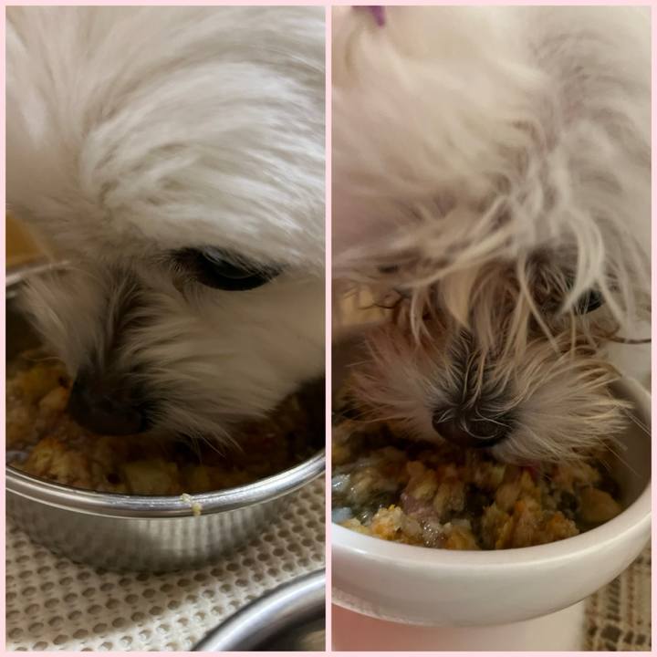 30675fc2 54be 41b1 a478 bef9cd6a50c4 1711367033436