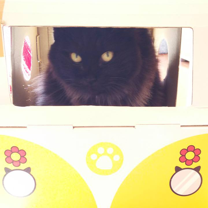 3067954e d84d 4122 b13a e83e58011607 1510713681333