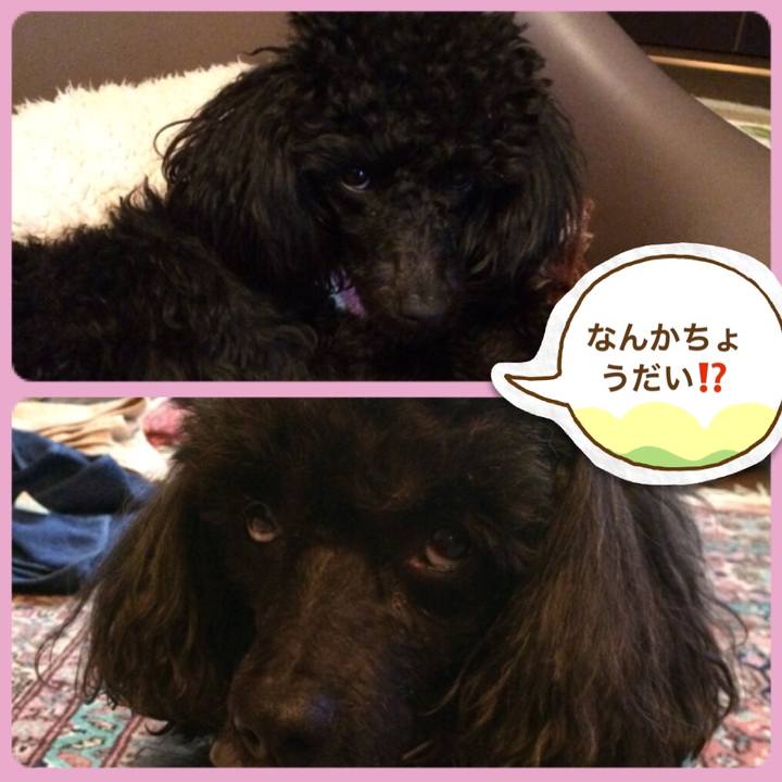 3067ab11 a737 483c 8dd6 fe0771660a1e 1518216146745