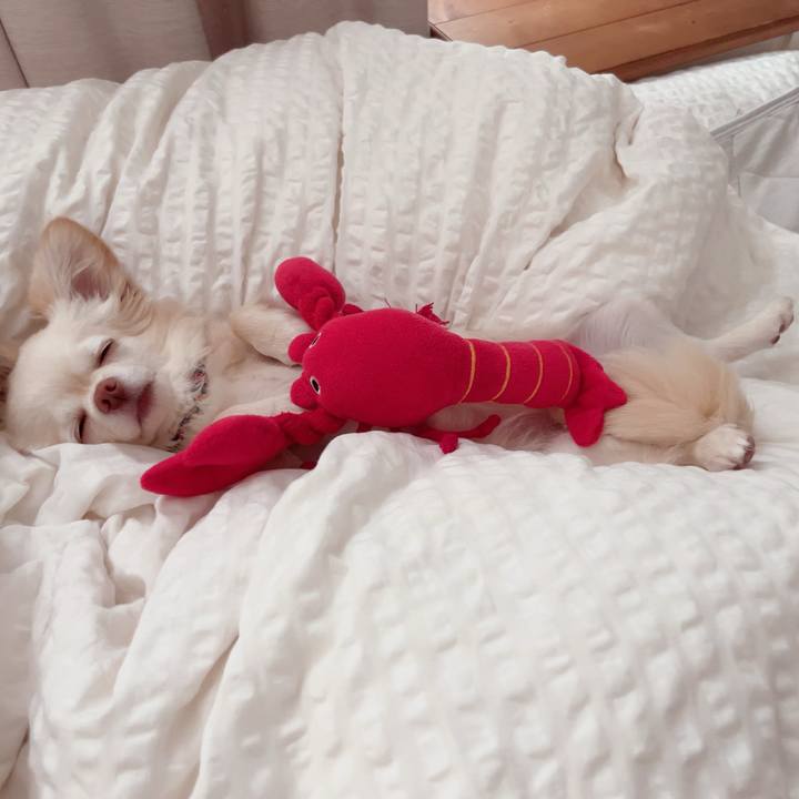 3067d724 4fde 4cb3 ada6 c526013e1a4d 1716524897405