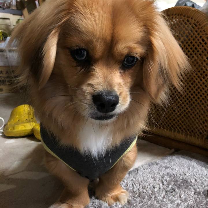 30685901 52e6 444f 964f 4f5f6728f96b 1517231797490