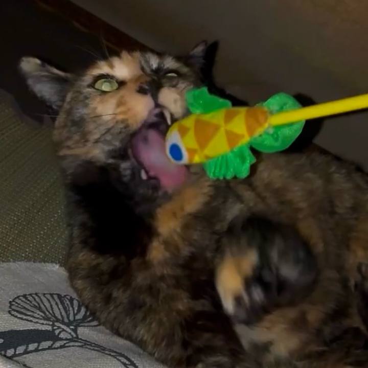 30688fc0 9690 4549 83ed 0edd16dbc968 1747941580223