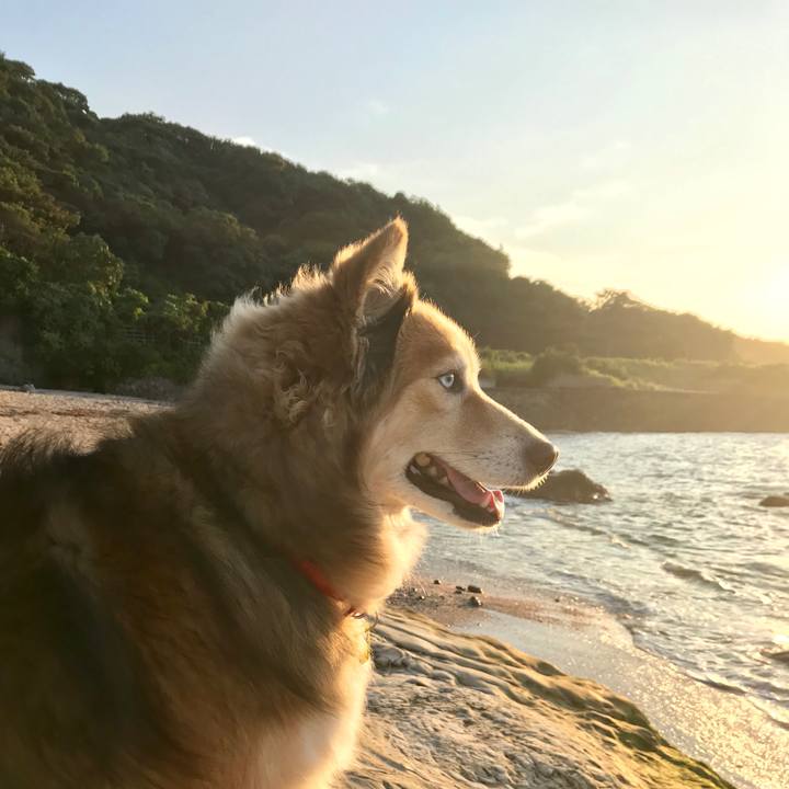 3068938f c0a5 4369 b274 56d742656c0a 1562750433318