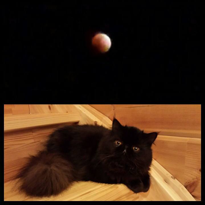 3068abd9 dc66 40fb 9044 06df5c6c8160 1517404680555