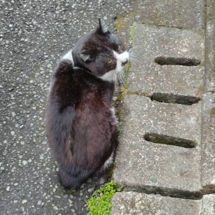 3068b760 1aa9 4096 8ad8 cdc0a18d9c2e 1711238457971