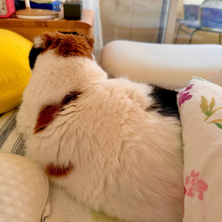 3068bdaf baf9 44ff 9300 2c4e2627822d 1702939106053