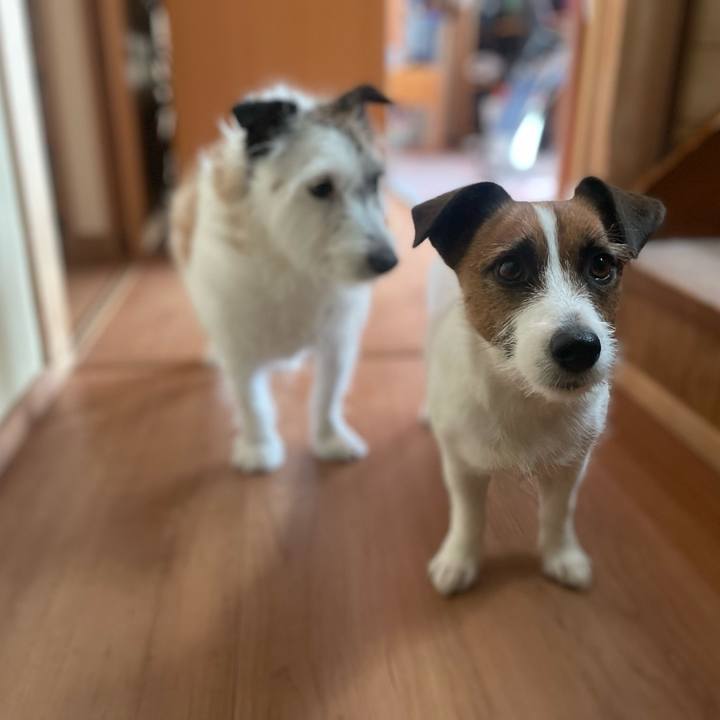 3068bdc6 9f48 43b0 a184 c635e00ff2dc 1750895407095