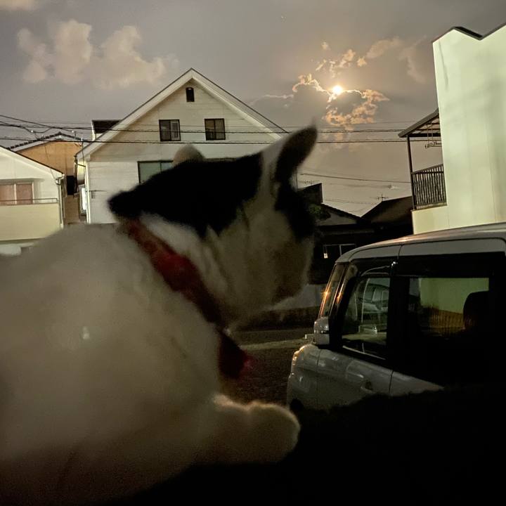 30691875 b792 4d45 bdfe 6c4d557f392c 1640096643969