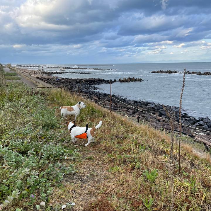 3069351d e96a 4f21 b0a3 5b80c9f958c4 1666048911315