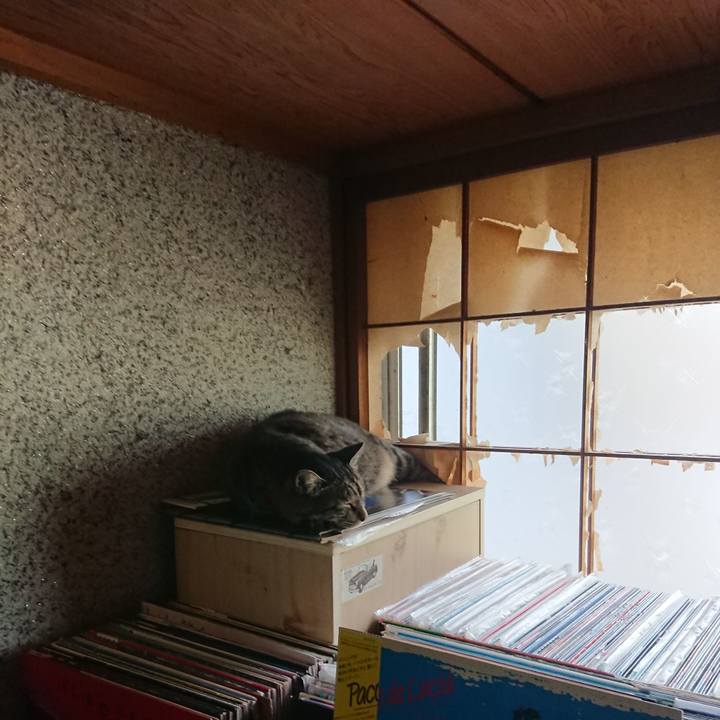 30693cb6 74e4 4547 a515 18a60071b7c4 1659416319648