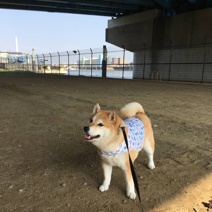 3069426a fb3d 4aae ae72 db23eae0604e 1554538145346